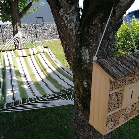 Mit Terrasse By Interhome *