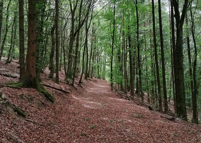 Mit Terrasse By Interhome *